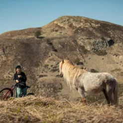 Santa Cruz Bronson 4 C MX XT Gloss Moss And Blue -Günstiges Vélo Geist Geschäft 1280 6VPJsz5IKAO81Yec