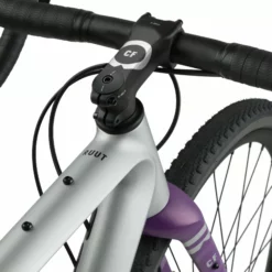 Rondo Ruut CF2 Gravelbike - Silver/Purple -Günstiges Vélo Geist Geschäft 331 2311 scaled