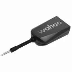 Wahoo Fitness Kickr Direct Connect/Dircon -Günstiges Vélo Geist Geschäft 345KwtOiUt0plBXt