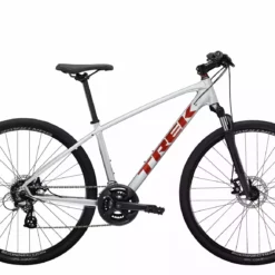 Trek Dual Sport 1 Quicksilver