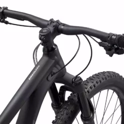 Liv Embolden 1 Matte Black/Gloss Sparkling Black -Günstiges Vélo Geist Geschäft Embolden1 29 Black 4