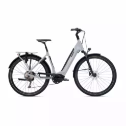 Giant DailyTour E+ 3 (Tiefeinsteiger/Sport/500Wh) Good Grey
