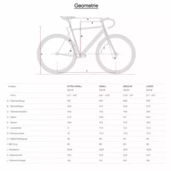 Aventon Kijote Gravel - Grau -Günstiges Vélo Geist Geschäft Grossentabelle Aventon2