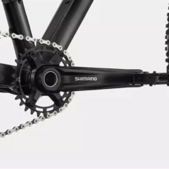 Cannondale Trail SL 3 Black Pearl -Günstiges Vélo Geist Geschäft MTBHardtailTrailSL3BlackPearlBMOBikeMailorder 4