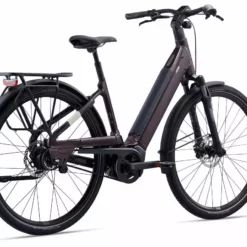 Liv Allure E+ 1 (BD/Sport/500Wh) Rosewood -Günstiges Vélo Geist Geschäft MY22AllureEplus1 ColorBRosewood Rear