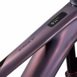 Liv Intrigue X Advanced E+ EL 3 - Mirage/Cordovan -Günstiges Vélo Geist Geschäft MY23IntrigueXAdvancedEplusEL3 ColorAMirage D 2