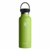 Hydro Flask Standard Mouth Flasche Mit Flex Deckel - 532 Ml - Seagrass