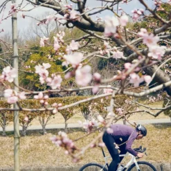 Cannondale SuperSix EVO Carbon Disc 105 Black Pearl -Günstiges Vélo Geist Geschäft SuperSix EVO In The Wild 2