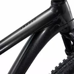 Giant Trance 2 Metallic Black / Black -Günstiges Vélo Geist Geschäft Trance2 29 metallicblack 5