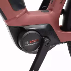 Winora Sinus N5 Tiefeinsteiger - Maroonred Matt -Günstiges Vélo Geist Geschäft Winora MY21 Detail Motor Sinus N5