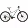 Cannondale Trail Womens 8 - Sage Gray